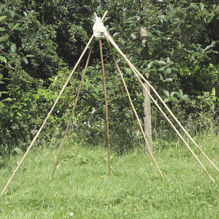 Den Making Canes 20pk