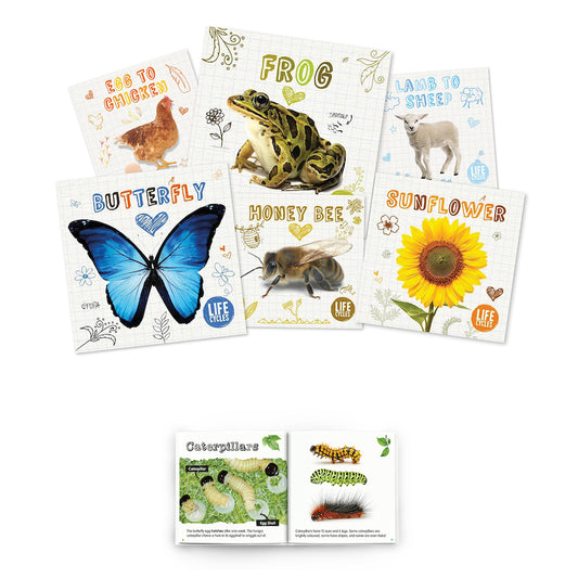 Lifecycles 7 pk