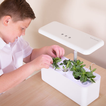 Hydroponic Smart Garden