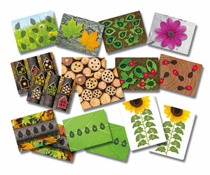 Ladybug Counting Cards