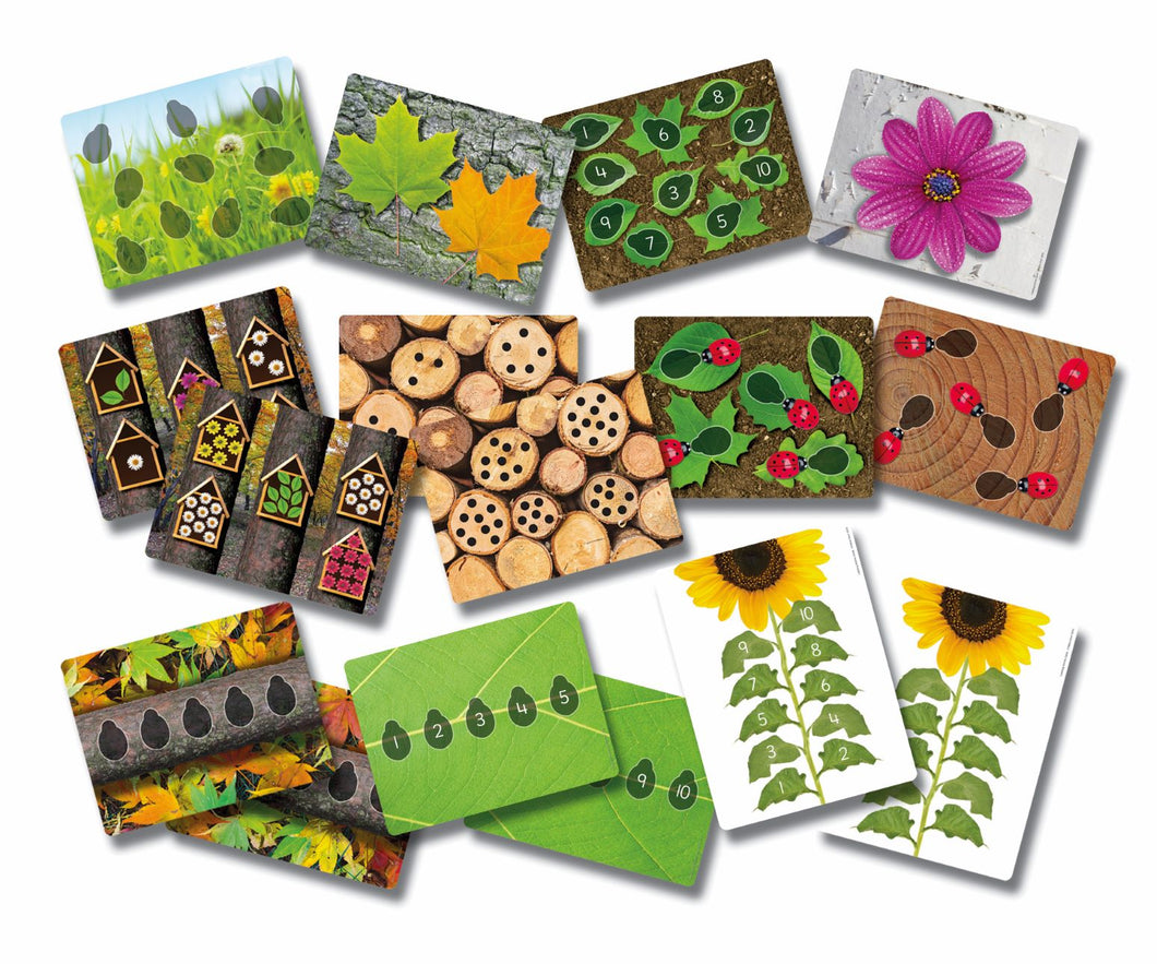 Ladybug Counting Cards