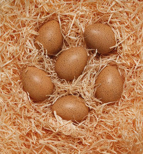 Sensory Sound Eggs (Set of 6)