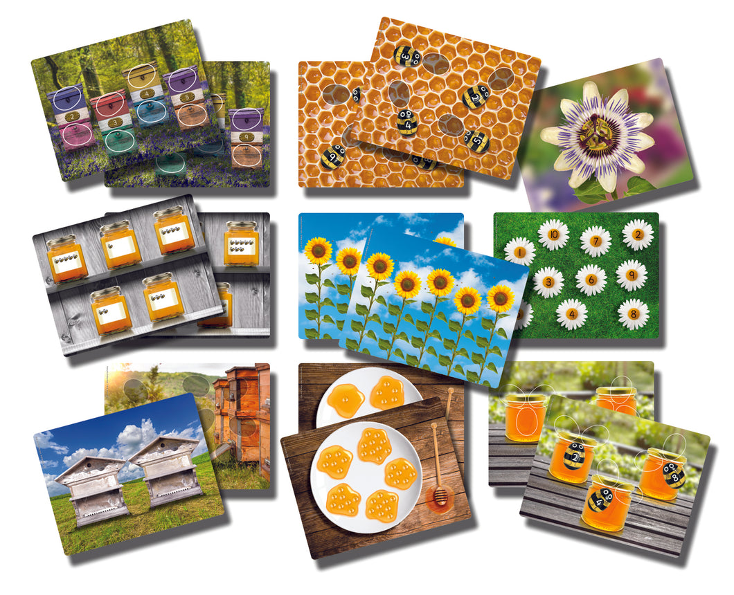 Honey Bee Early Number Cards (Set of 16)