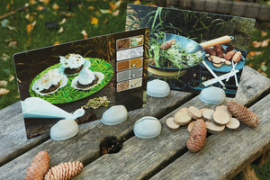Stand-It-Stones (Set of 5)