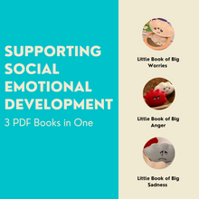 Load image into Gallery viewer, Supporting Social Emotional Development- 3 PDF Books in One; Little book of big worries, little book of big anger, and little book of big sadness
