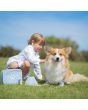 Load image into Gallery viewer, Veterinary Set
