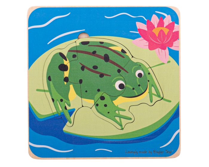 Lifecycle Layer Puzzle-Frog