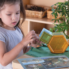 Load image into Gallery viewer, PowerClix® Solids Natural - 70 pc. Set
